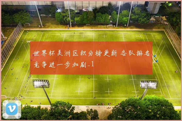 世界杯美洲区积分榜更新 各队排名竞争进一步加剧_1