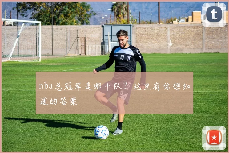 nba总冠军是哪个队？这里有你想知道的答案