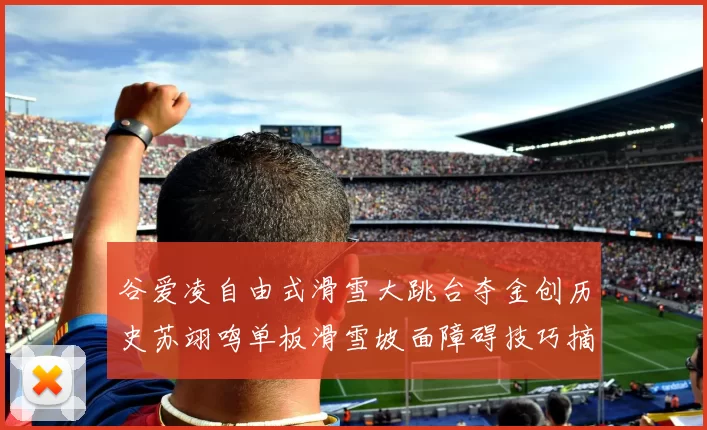 谷爱凌自由式滑雪大跳台夺金创历史苏翊鸣单板滑雪坡面障碍技巧摘银