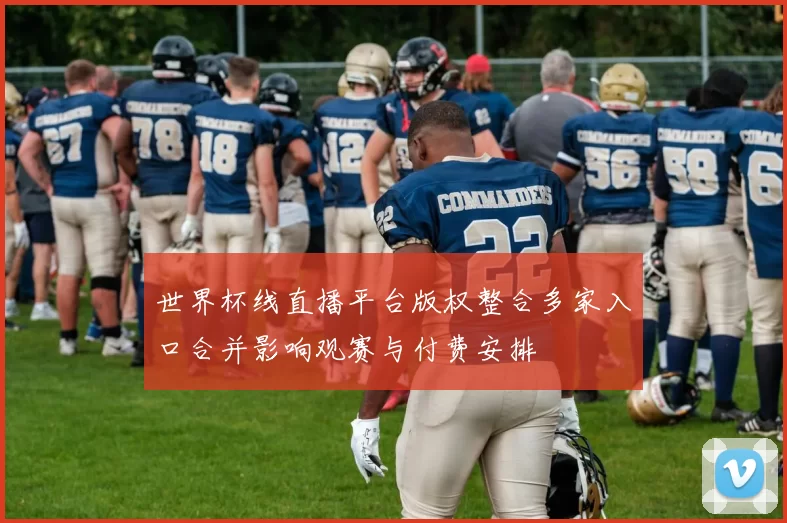 世界杯线直播平台版权整合多家入口合并影响观赛与付费安排