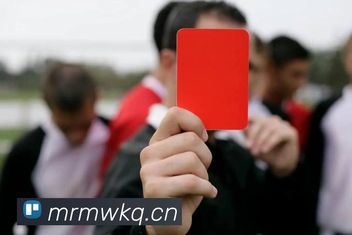 开云·kaiyun体育(中国大陆)官方网站 登录入口发展历程